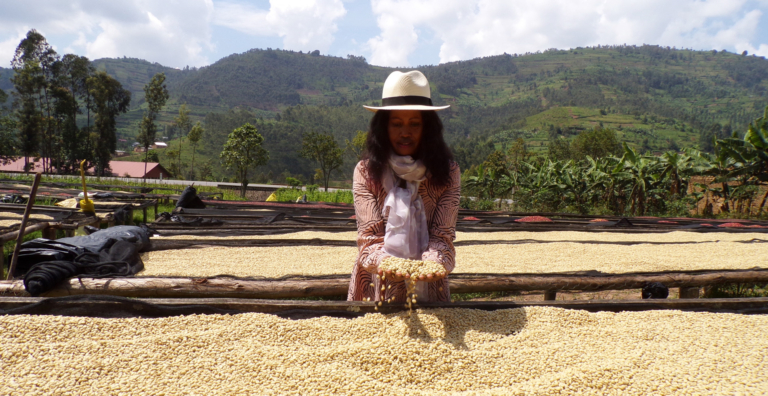 The Coffee Officina KCRS Women producers Rwanda crop 2023 Single Origin - JACQUELINE TURNER