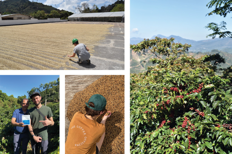 The Coffee Officina Hermosa Costa Rica Single Origin